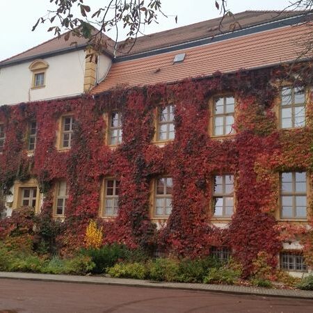 2015_10_18_Saisonabschluss_Stadtschloss_Hecklingen (1).jpg