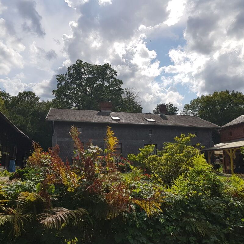 2025_08_30_Sommertour_Spreewald (11)_0001.jpg