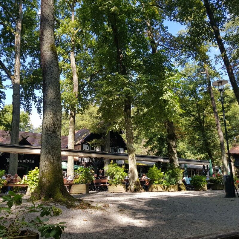 2025_08_30_Sommertour_Spreewald (22)_0001.jpg