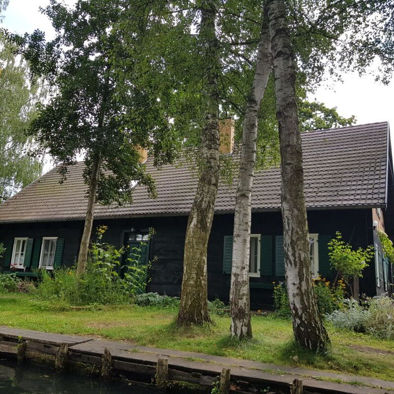 2025_08_30_Sommertour_Spreewald (13)_0001.jpg