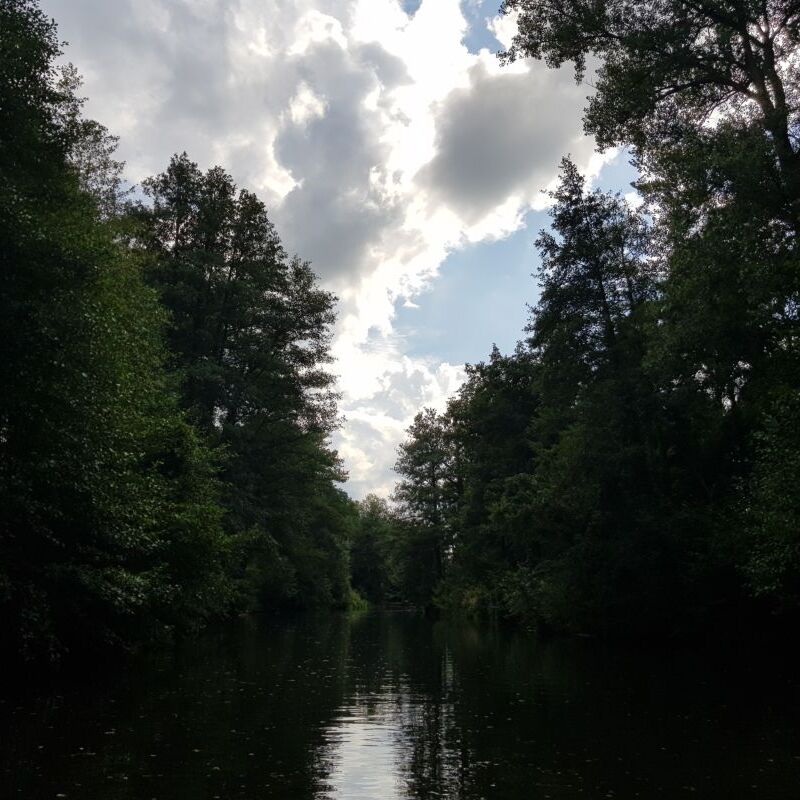 2025_08_30_Sommertour_Spreewald (8)_0001.jpg
